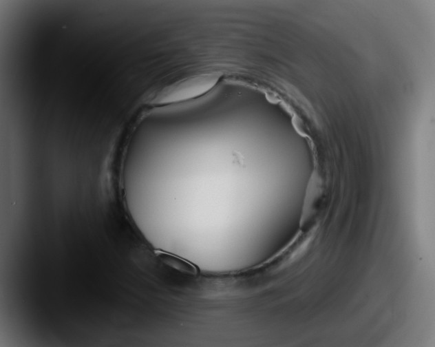 X0000087611210200705181249
