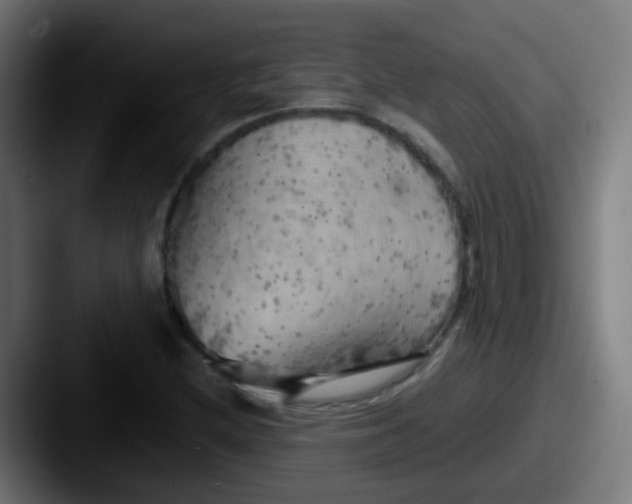 X0000087611212200705181249