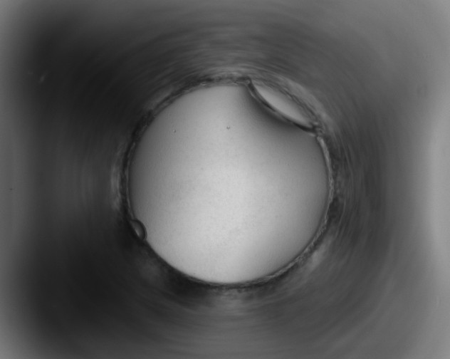 X0000087611217200705181249
