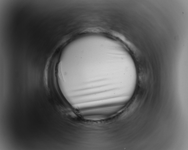 X0000087611221200705181249