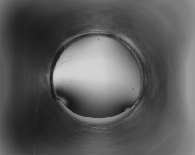 X0000087611222200705181249