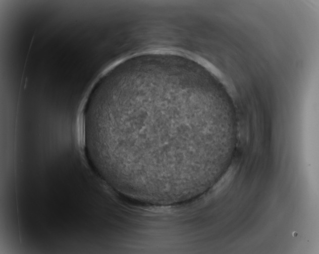 X0000087611223200705181249