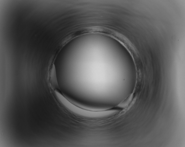 X0000087611225200705181249