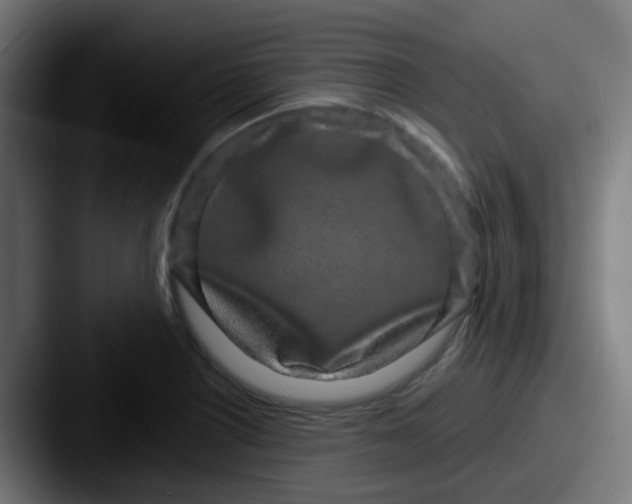 X0000087611226200705181249