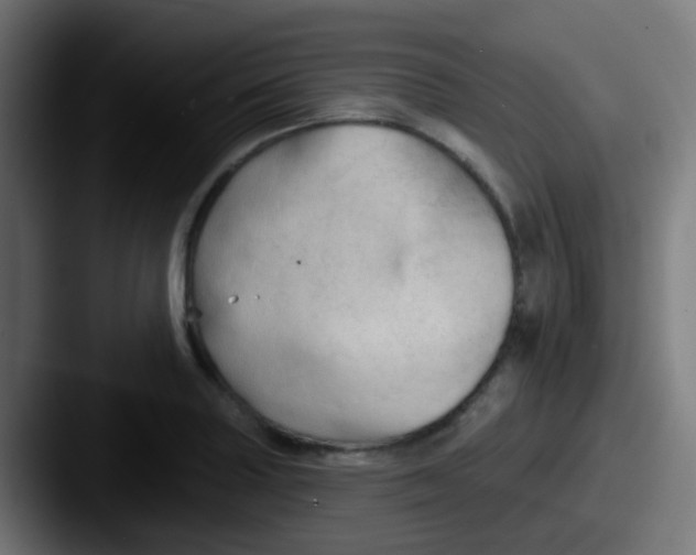 X0000087611227200705181249