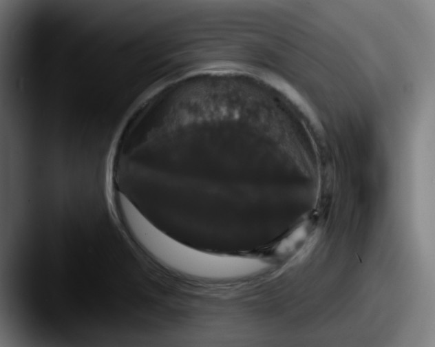 X0000087611229200705181249