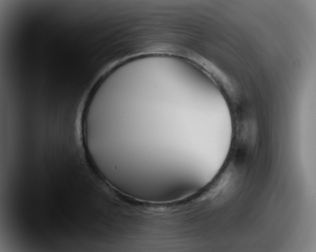 X0000087611230200705181249