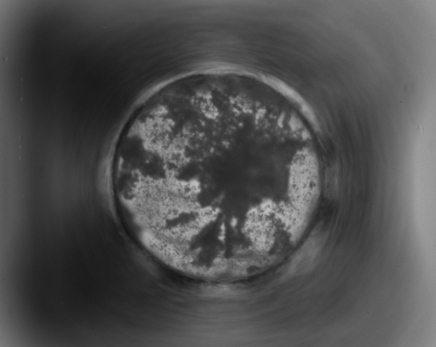 X0000087611231200705181249