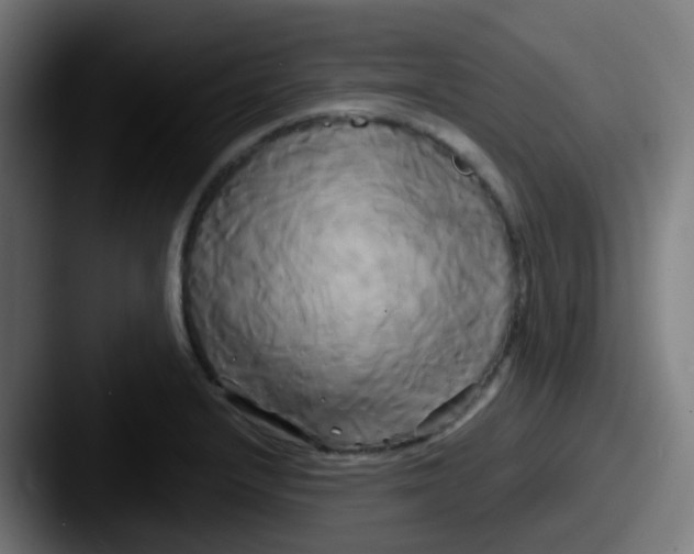 X0000087611232200705181249
