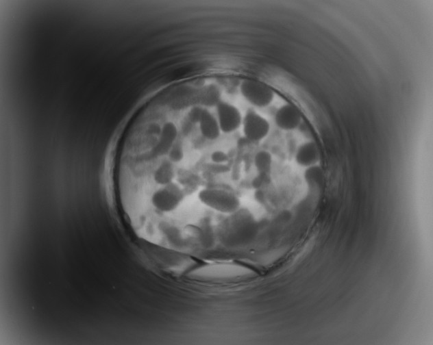 X0000087611235200705181249