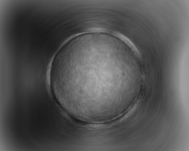 X0000087611236200705181249