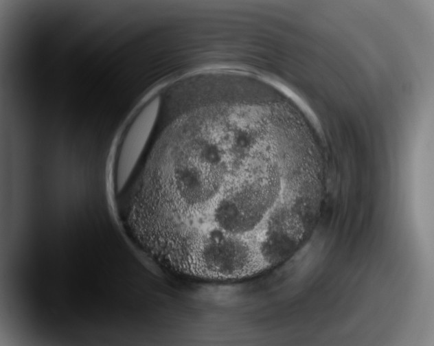 X0000087611237200705181249