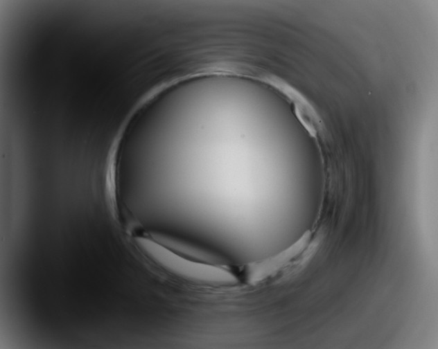 X0000087611238200705181249