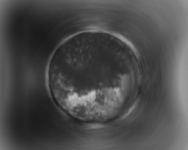 X0000087611239200705181249