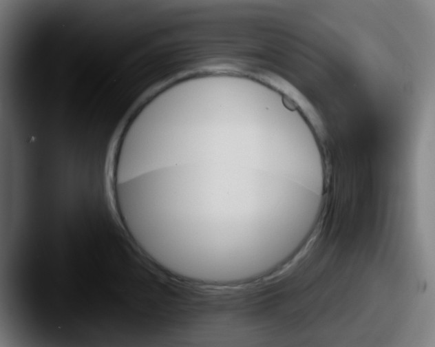 X0000087611240200705181249
