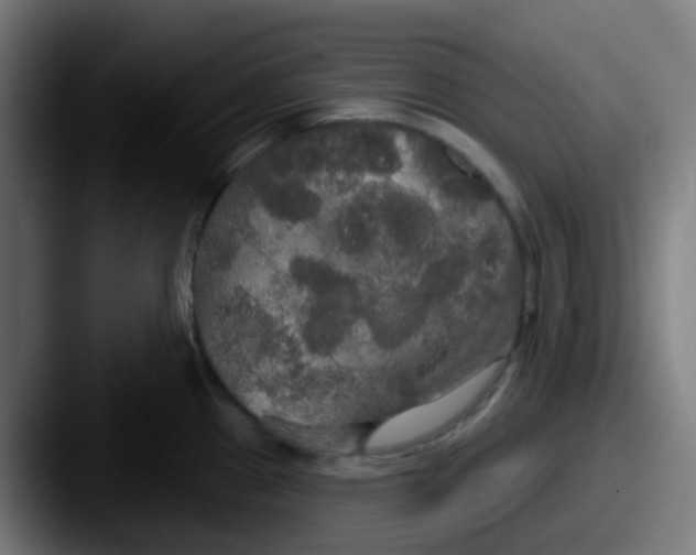 X0000087611241200705181249