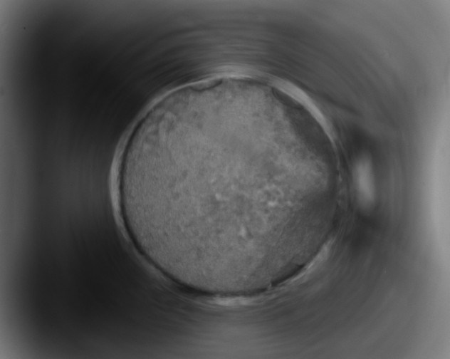 X0000087611243200705181249