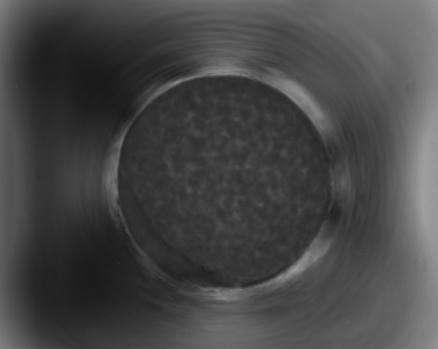 X0000087611244200705181249