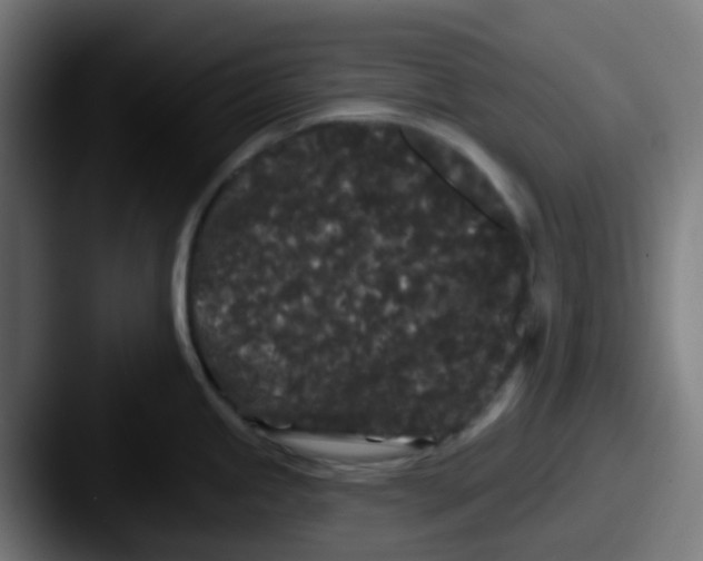 X0000087611245200705181249