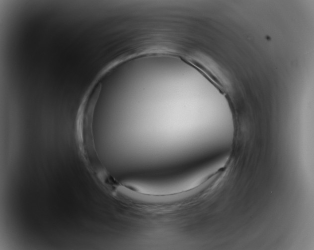 X0000087611246200705181249