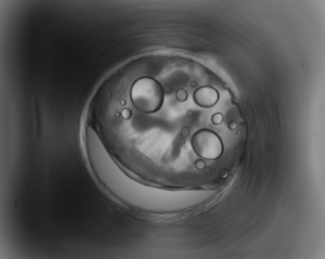 X0000087611247200705181249