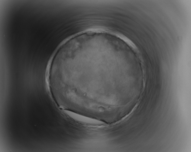 X0000087611248200705181249