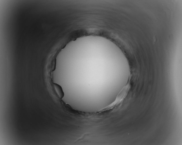X0000087611249200705181249