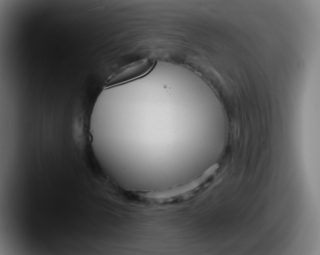 X0000087611250200705181249