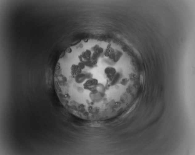 X0000087611251200705181249