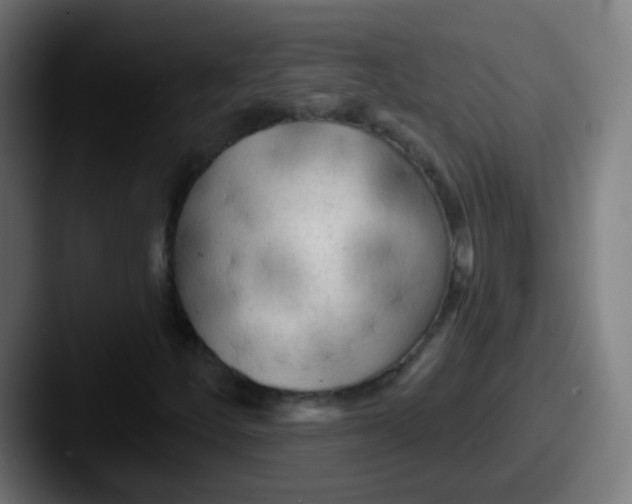 X0000087611252200705181249