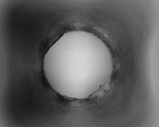 X0000087611253200705181249