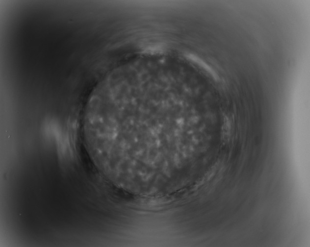 X0000087611254200705181249