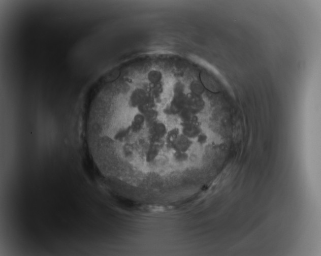 X0000087611255200705181249