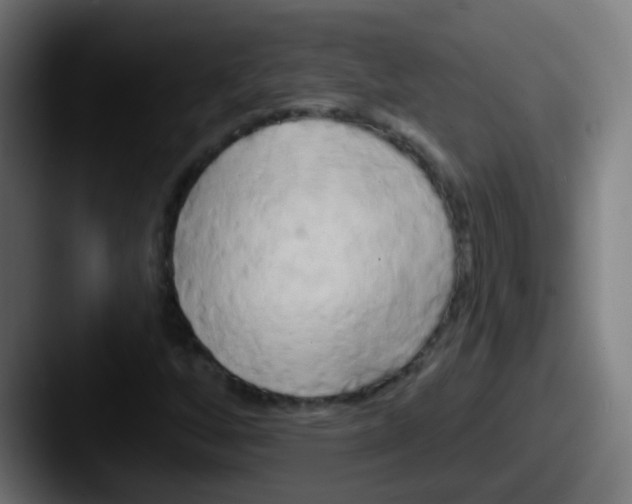 X0000087611256200705181249