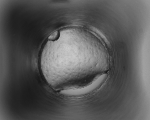 X0000087611260200705181249