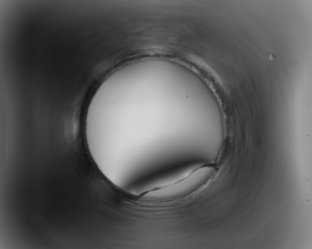 X0000087611261200705181249