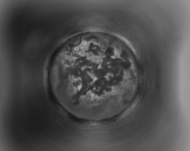 X0000087611263200705181249