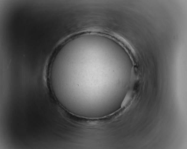 X0000087611264200705181249