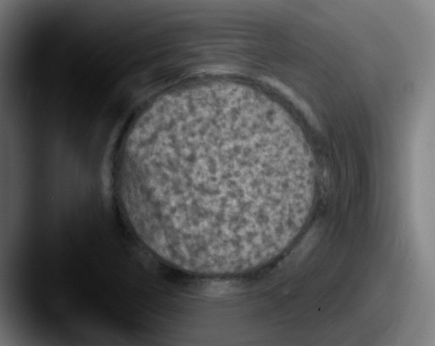 X0000087611266200705181249