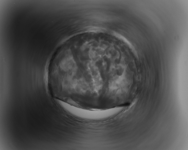 X0000087611267200705181249
