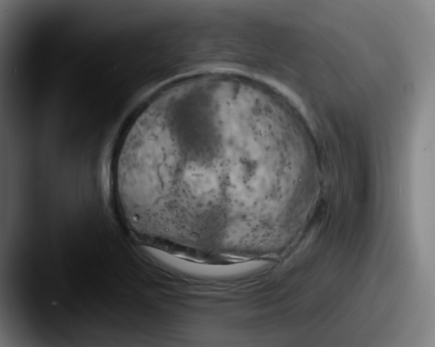 X0000087611271200705181249