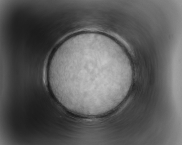 X0000087611272200705181249