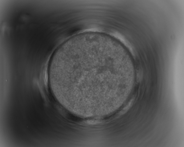 X0000087611274200705181249