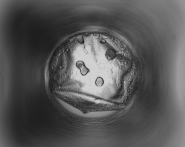 X0000087611275200705181248