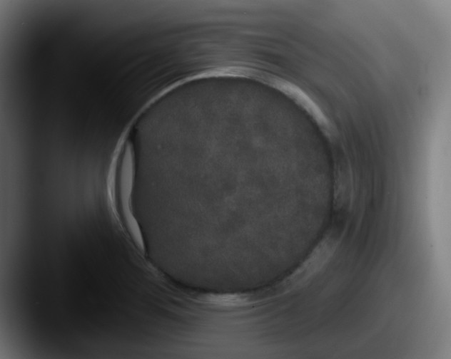 X0000087611276200705181248