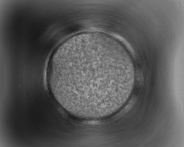 X0000087611278200705181248