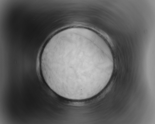 X0000087611280200705181248