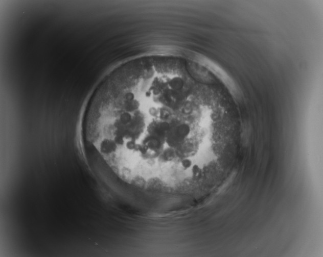 X0000087611283200705181248
