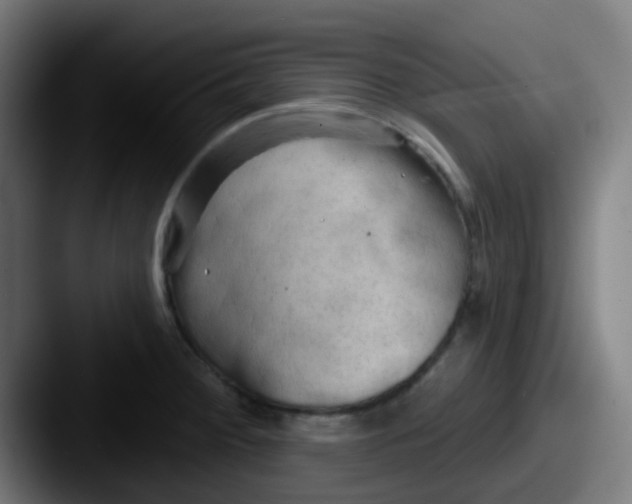 X0000087611284200705181248