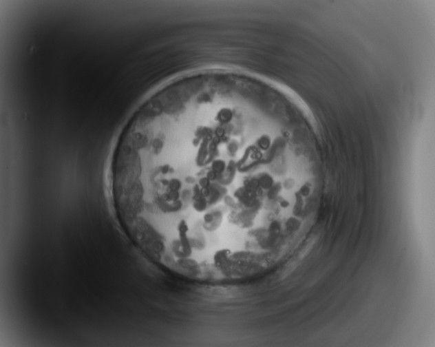 X0000087611287200705181248